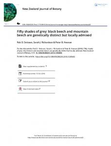 Fifty shades of grey: black beech and mountain beech