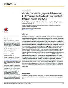 Fig 1 - PLOS