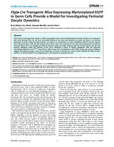 Figla-Cre Transgenic Mice Expressing