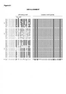 Figure S1 XER ALIGNMENT - PLOS