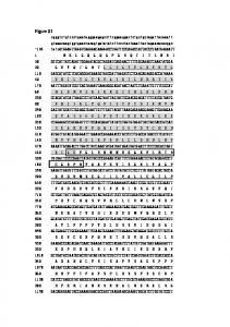 Figure S1