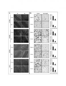 Figure S4 WFA.tif - PLOS