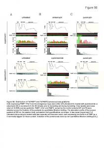 Figure S6_polysomes untreated_NEW - PLOS