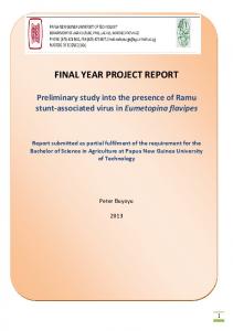 final year project report