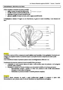 Fiore e Frutto delle Angiosperme