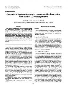 First Step of C4 Photosynthesis - NCBI