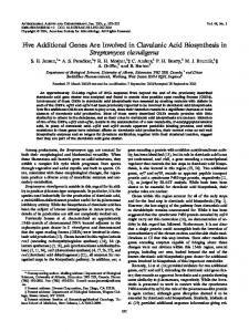 Five Additional Genes Are Involved in Clavulanic Acid Biosynthesis in ...