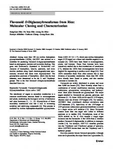 Flavonoid O-Diglucosyltransferase from Rice ... - Springer Link