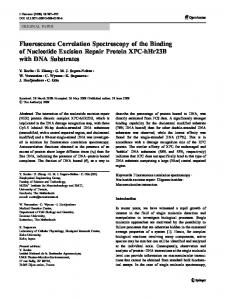 Fluorescence Correlation Spectroscopy of the Binding ... - Springer Link