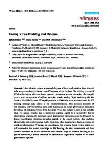 Foamy Virus Budding and Release - MDPI