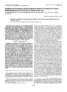 Folding and Oxidation of Recombinant Human Granulocyte Colony ...