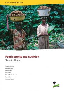 Food security and nutrition - Center for International Forestry Research