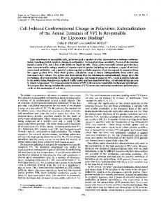 for LiposomeBindingt - Journal of Virology - American Society for ...