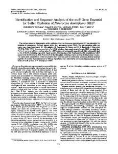 for Sulfur Oxidation of Paracoccus denitnfifcans GB17