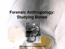 Forensic Anthropology