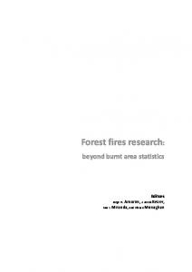 Forest fires research