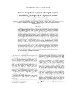 Formation of single-domain magnetite by a thermophilic bacterium