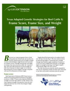 Frame Score, Frame Size, and Weight