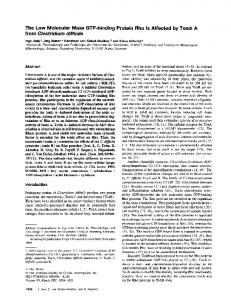 from Clostridium difficile - Europe PMC