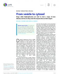 From vesicle to cytosol - eLife