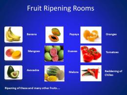 Fruit Ripening Rooms