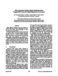 Fully Automatic Cardiac Motion Estimation from Tagged MRI Using