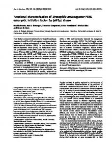 Functional characterization of Drosophila ... - Wiley Online Library