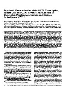 Functional Characterization of the GATA ... - Plant Physiology