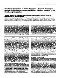 Functional Correlation of NMDA Receptor Subunits Expression with ...