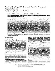 Functional Coupling of Ca2 Channels to Ryanodine ... - BioMedSearch