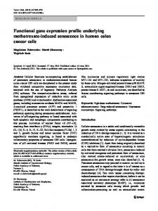 Functional gene expression profile underlying ... - Springer Link