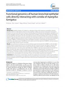 Functional genomics of human bronchial epithelial ... - BioMedSearch