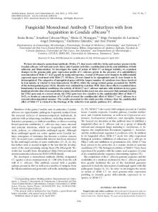 Fungicidal Monoclonal Antibody C7 Interferes with Iron Acquisition in ...