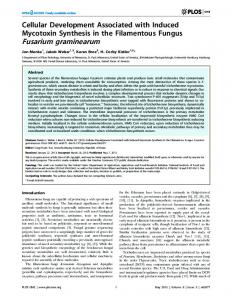 Fusarium graminearum - USDA ARS