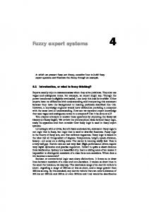 Fuzzy expert systems