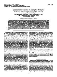 Galactomannoproteins of Aspergillus fumigatus - CiteSeerX