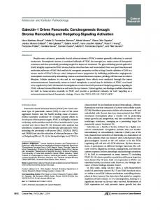 Galectin-1 Drives Pancreatic Carcinogenesis ... - Cancer Research