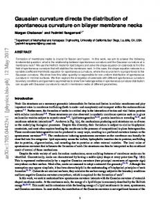 Gaussian curvature directs the distribution of spontaneous curvature ...