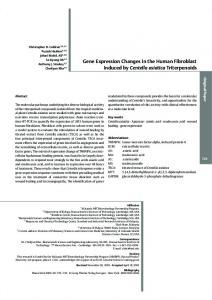 Gene Expression Changes in the Human Fibroblast Induced by ...