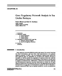 Gene Regulatory Network Analysis in Sea Urchin