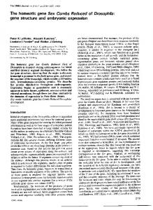 gene structure and embryonic expression - NCBI