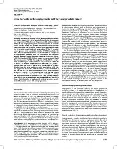 Gene variants in the angiogenesis pathway and prostate cancer