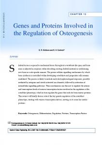 Genes and Proteins Involved in the Regulation of Osteogenesis