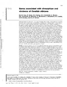 Genes associated with dimorphism and virulence of