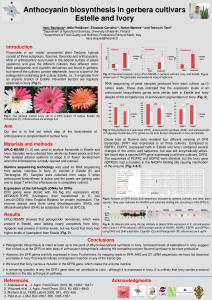 Genetic analysis of some Egyptian rice genotypes ...