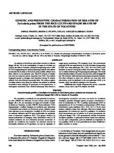 GENETIC AND PHENOTYPIC ... - Semantic Scholar