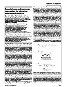 Genetic basis and molecular mechanism for ... - Semantic Scholar