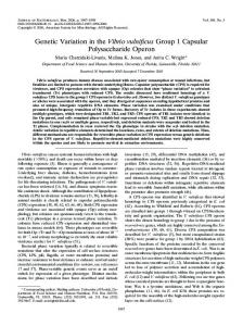 Genetic Variation in the Vibrio vulnificus Group 1 Capsular ...