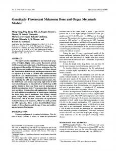 Genetically Fluorescent Melanoma Bone and ... - Semantic Scholar