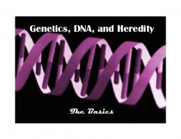 Genetics, DNA, and Heredity